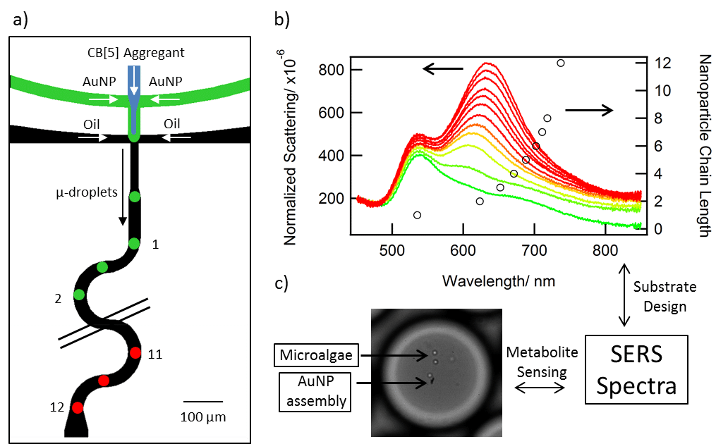 (a)	A schematic of a typical microfluidic device used in this work (b) Scattering spectra taken at sequential points along the channel as the nanoparticles assemble (c) A microdroplet containing microalgae and a nanoparticle assembly.